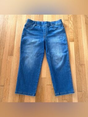 Spanx Denim Leggings Wide Leg 3X Petite Jeans